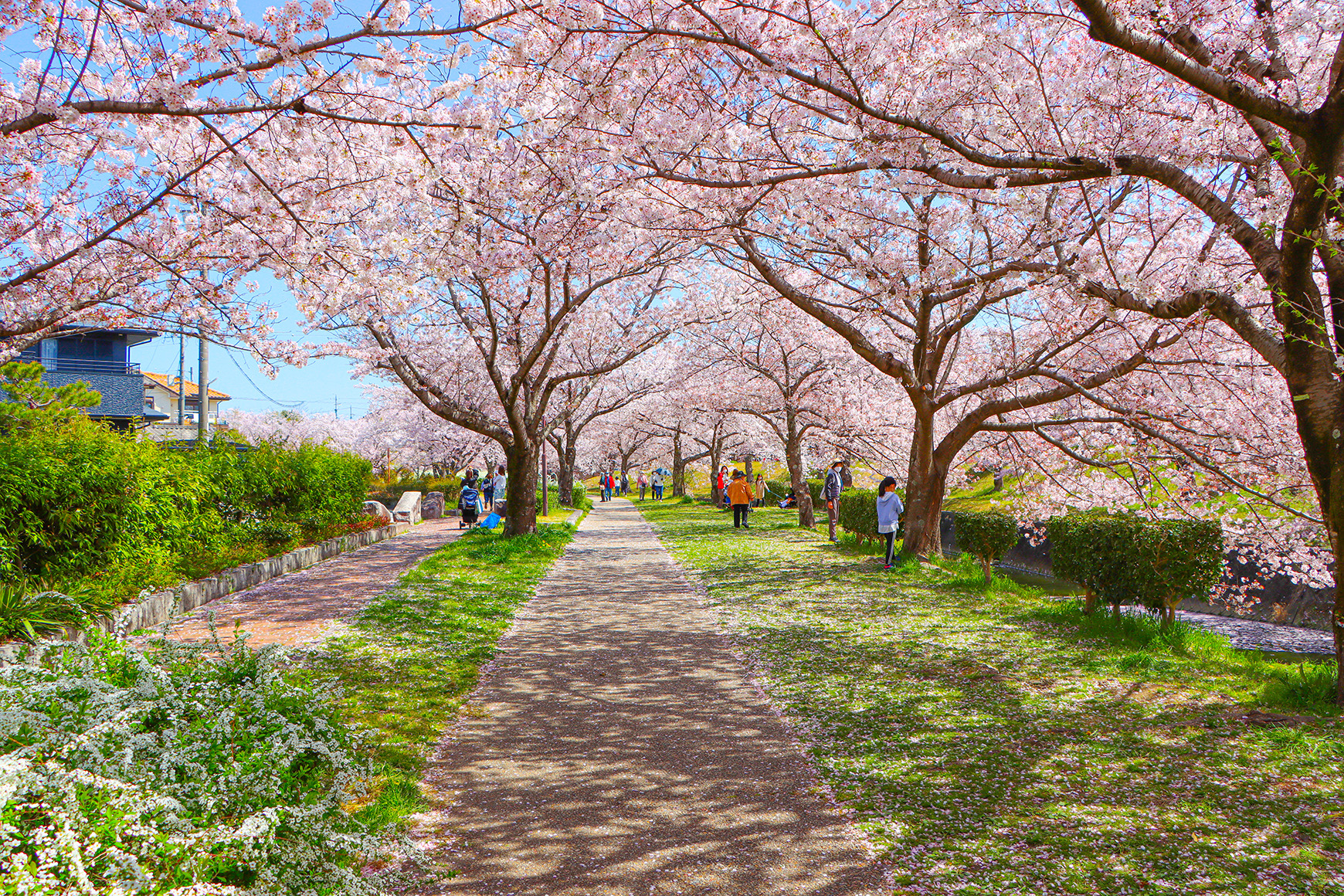 豊田市で家づくりするなら必見！井上町・青木町の住みやすさと魅力を紹介 画像