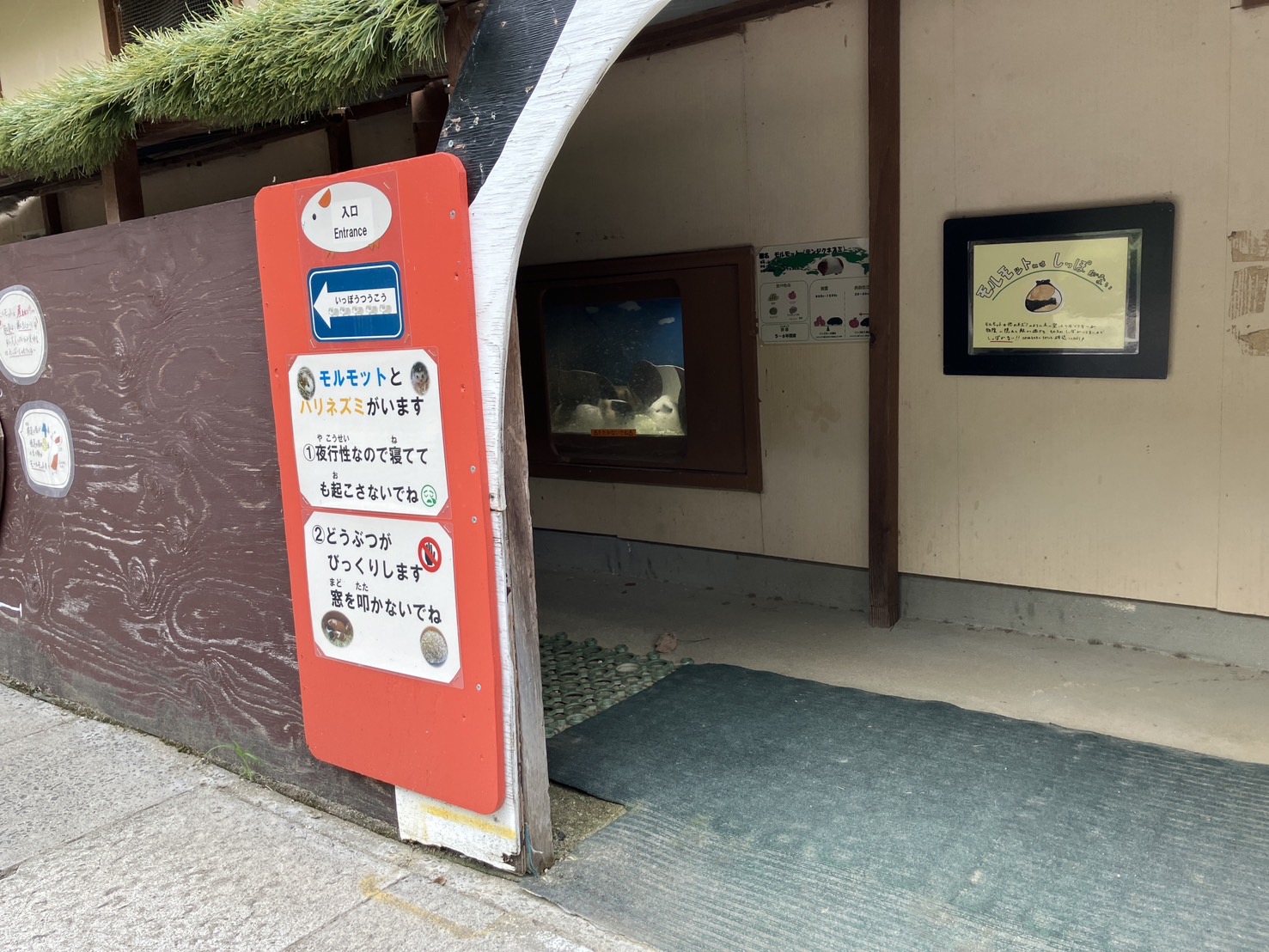 鞍ケ池公園 モルモット飼育部屋をリフォームしました! 画像