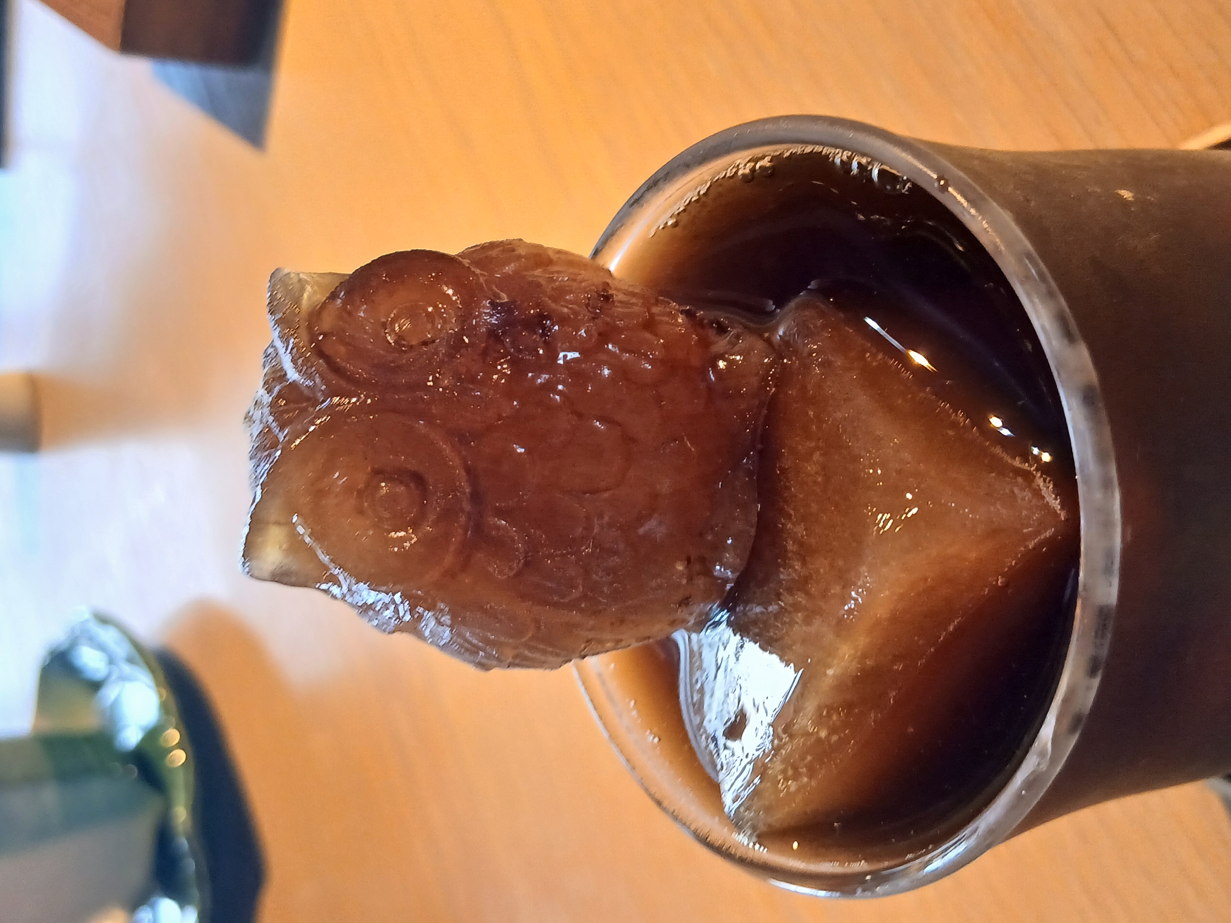 氷のフクロウ 画像