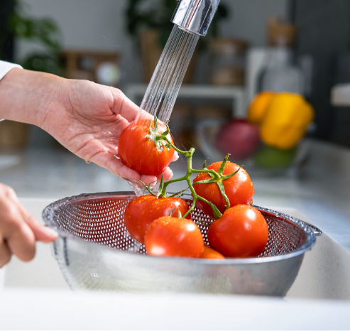 お野菜　食器洗い　写真