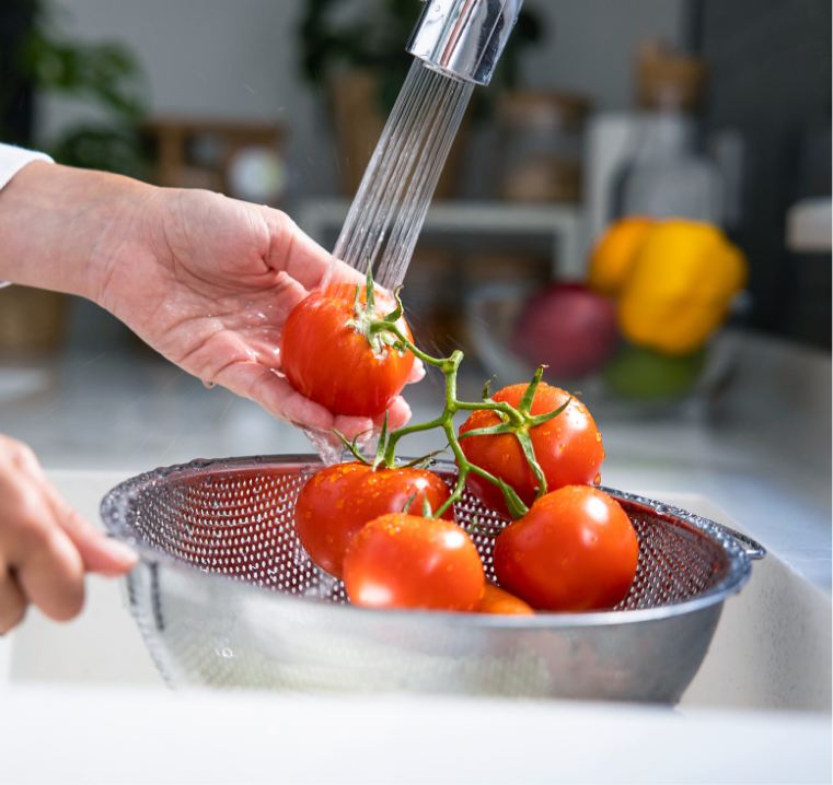 お野菜　食器洗い　写真