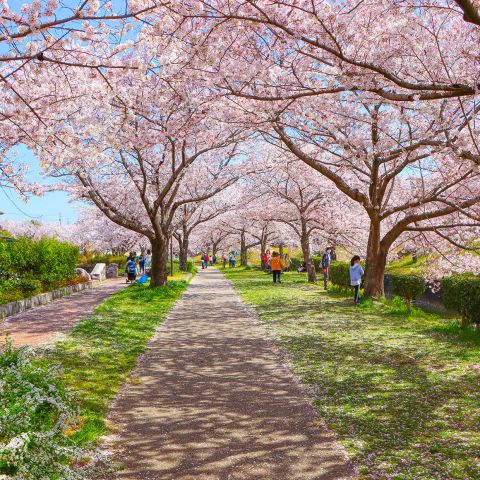 豊田市で家づくりするなら必見！井上町・青木町の住みやすさと魅力を紹介 アイキャッチ画像