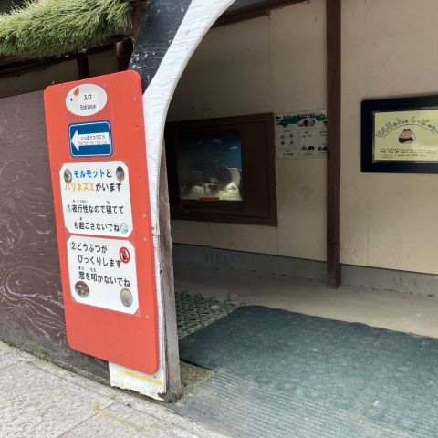 鞍ケ池公園　モルモット飼育部屋をリフォームしました！ アイキャッチ画像