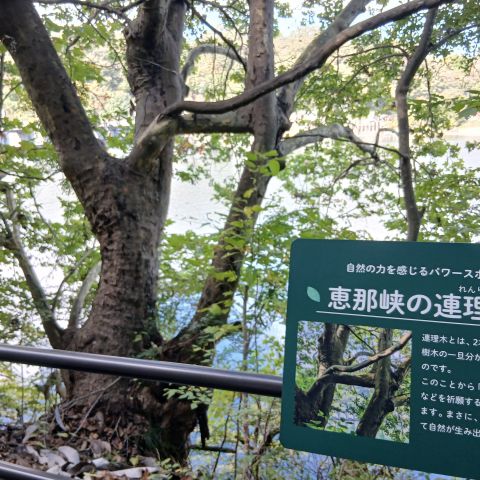 栗きんとん アイキャッチ画像